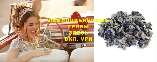 гашик Карталы