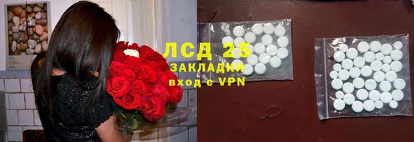 гашик Карталы