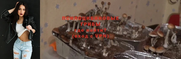 прущие грибы Касимов
