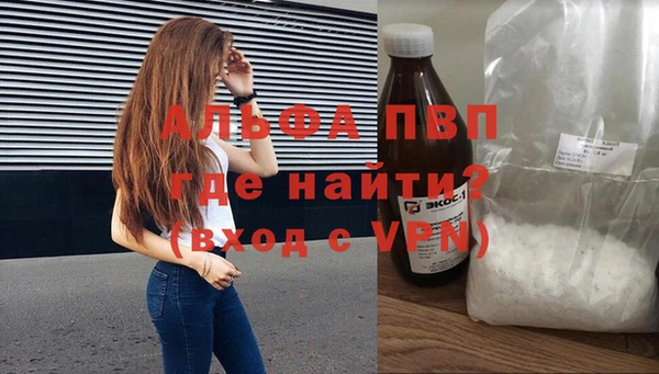 прущие грибы Касимов