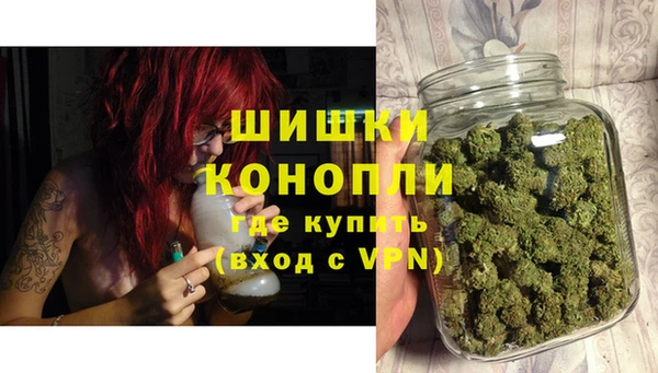 прущие грибы Касимов
