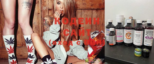 прущие грибы Касимов
