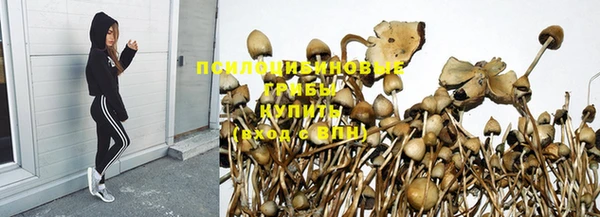 стаф Киреевск