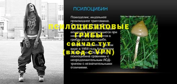 прущие грибы Касимов