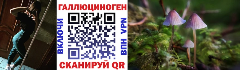 где продают наркотики  Юрьев-Польский  Галлюциногенные грибы ЛСД 